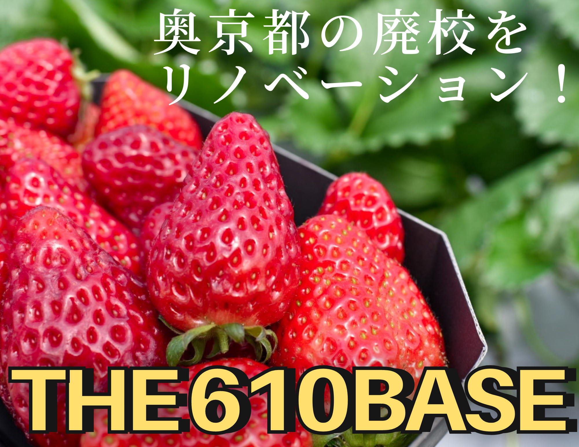 奥京都ぱんだ The610base ムトベース 奥京都の廃校をリノベーションした基地でいちご狩り体験 福知山市