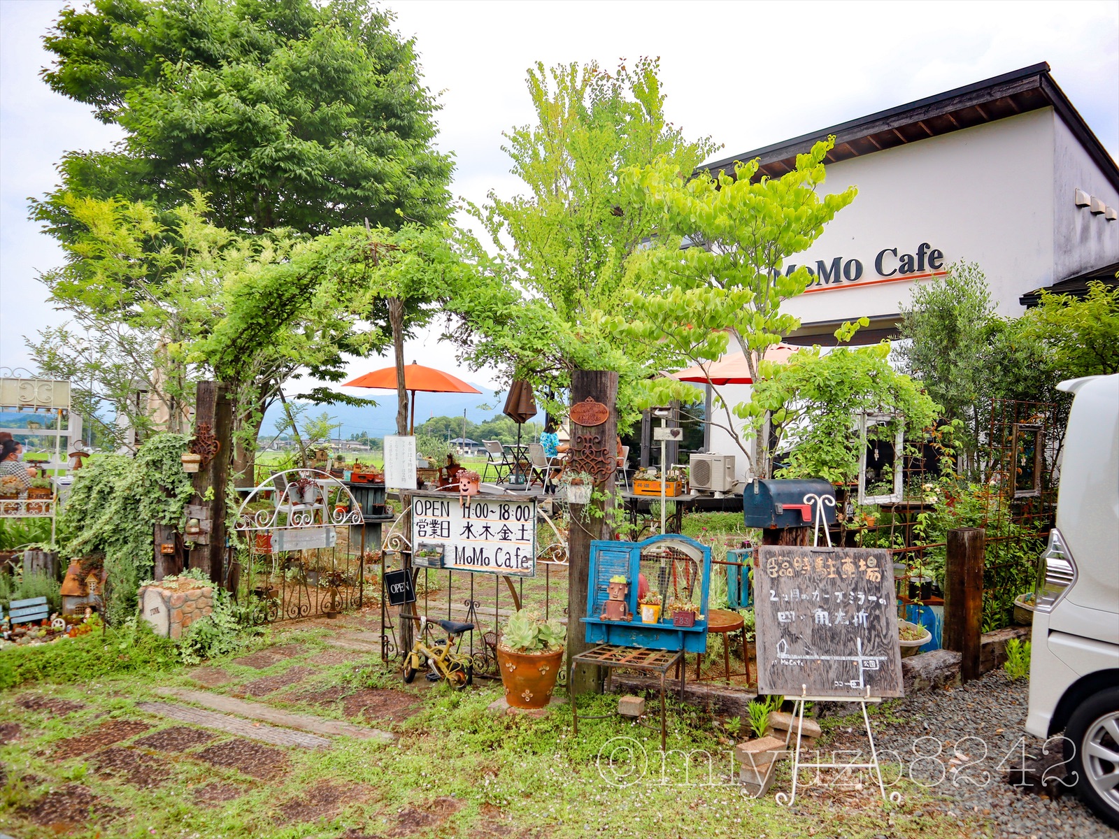 Momo Cafe モモカフェ 植物いっぱいのガーデンが可愛いカフェ 犬連れもok 福知山市 奥京都ぱんだ